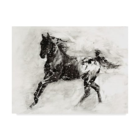 Ethan Harper 'Rustic Appaloosa Ii' Canvas Art,14x19